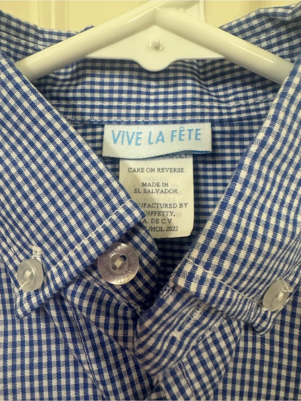 Vine la Vie Boys' Blue Gingham Button-Down Shirt with Red Patch